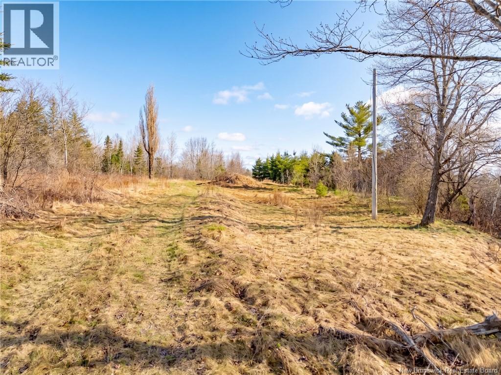 2997 Route 3 Hwy Property Photo 19