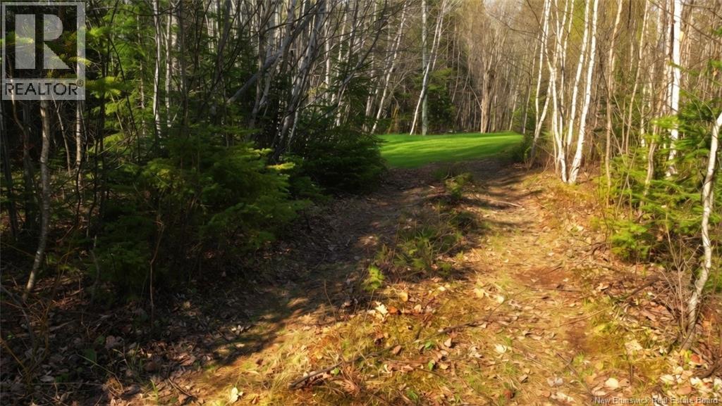 Lot Route 126 Property Photo 2