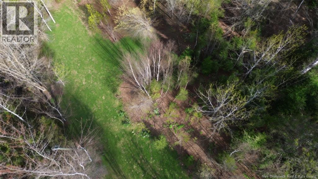Lot Route 126 Property Photo 3