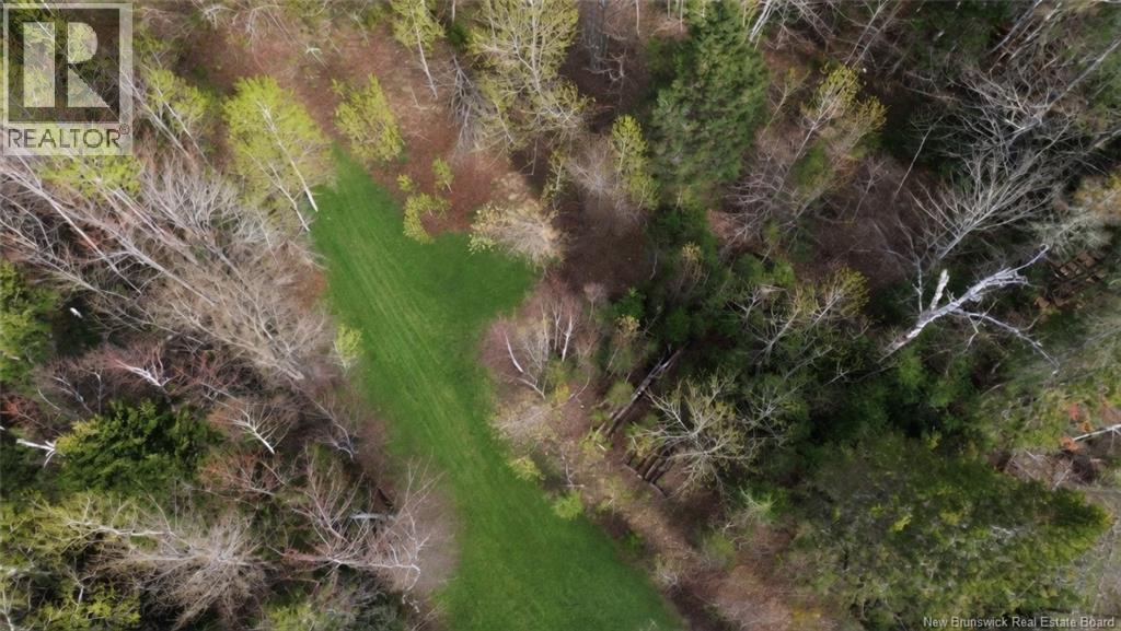 Lot Route 126 Property Photo 4