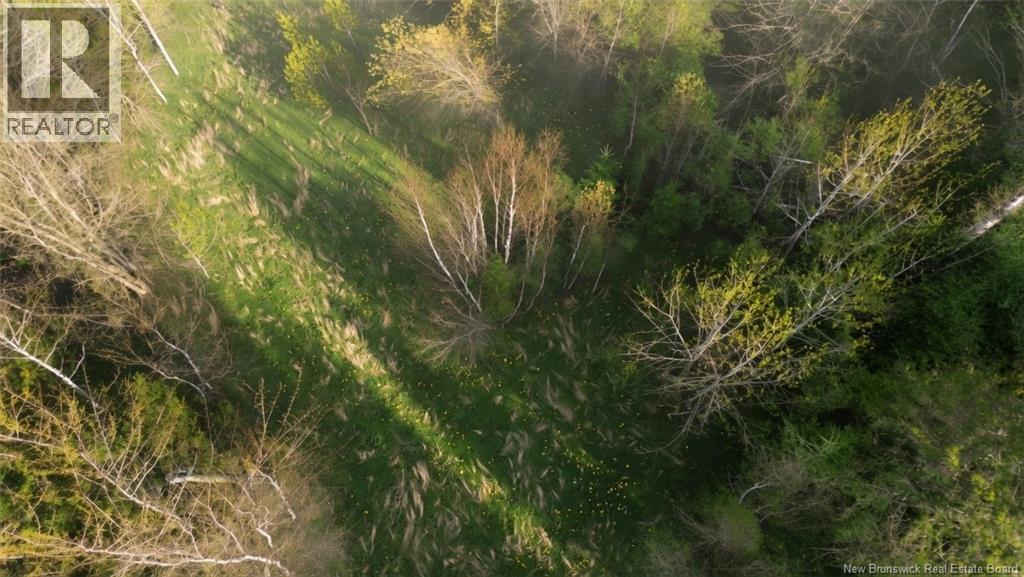 Lot Route 126 Property Photo 5