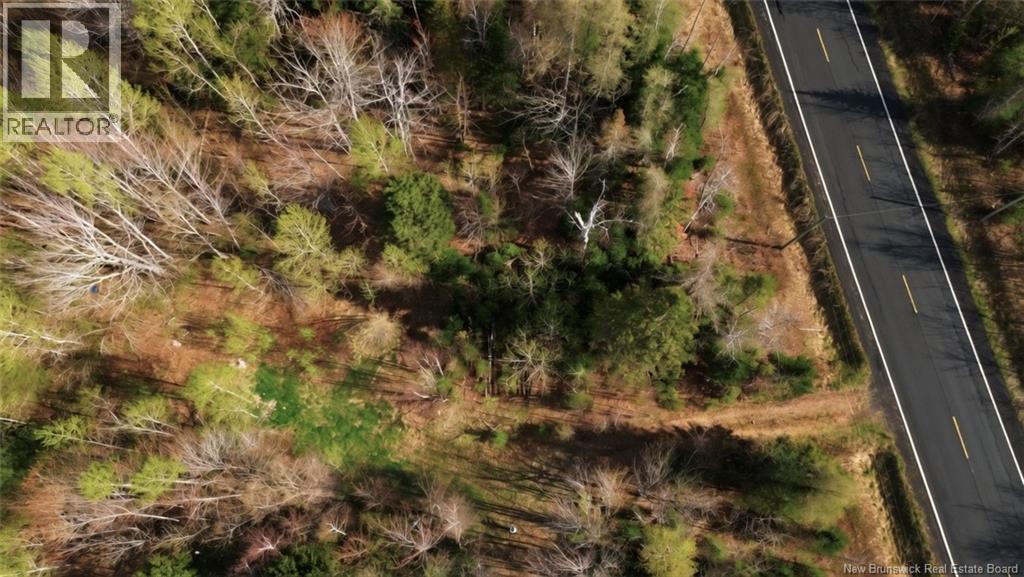 Lot Route 126 Property Photo 6