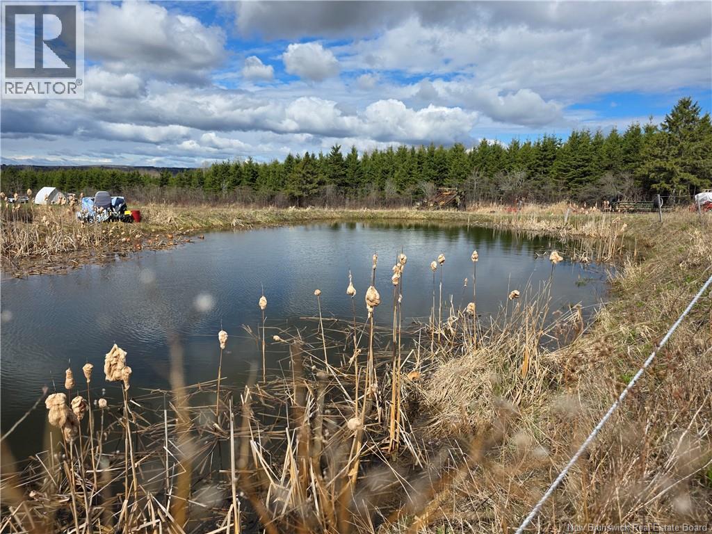 Laplante Road Property Photo 14