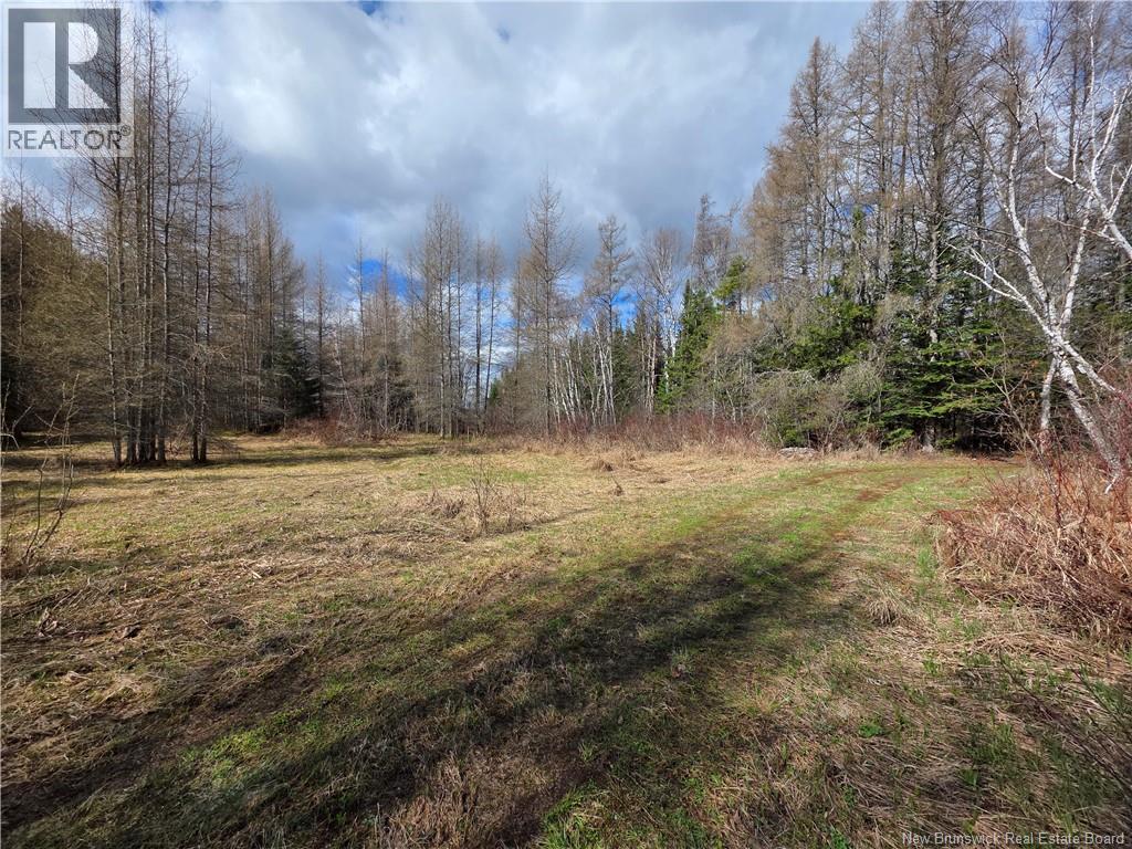 Laplante Road Property Photo 15