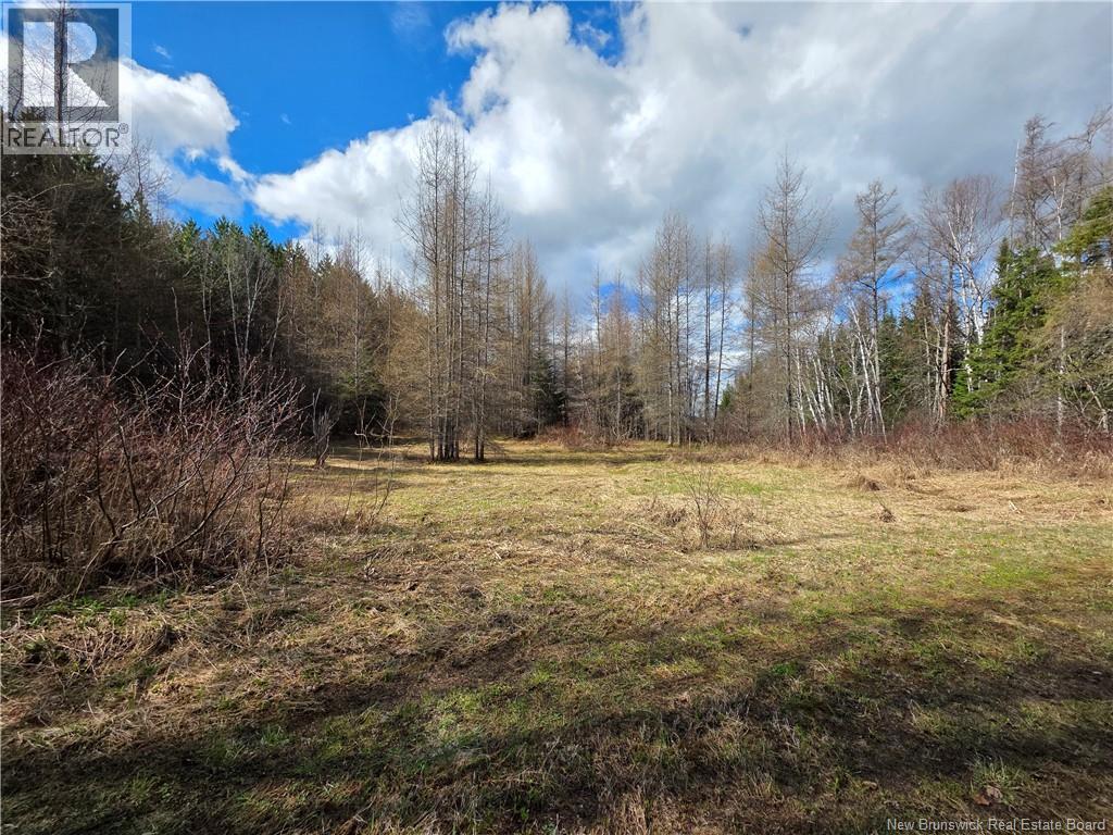 Laplante Road Property Photo 16