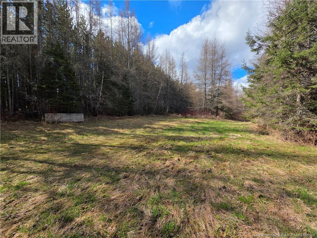 Laplante Road Property Photo 17
