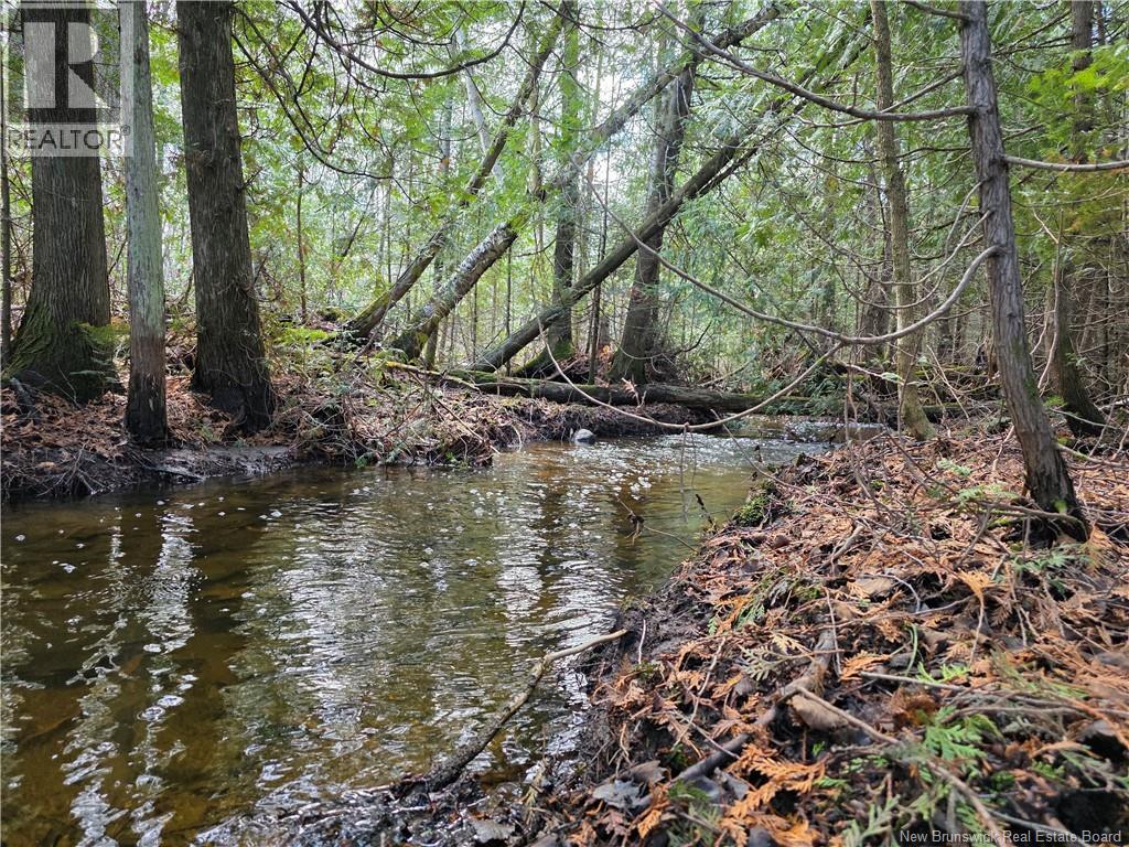 Laplante Road Property Photo 18