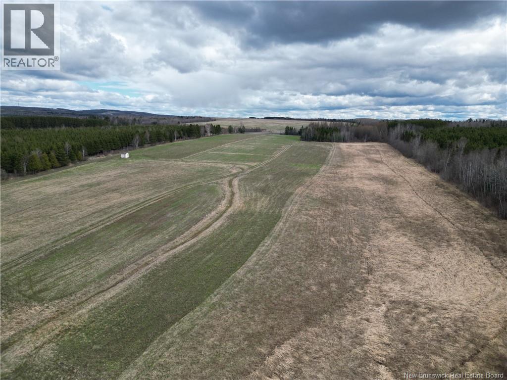 Laplante Road Property Photo 21