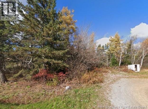 Lot Chemin Dignard Property Photo 2