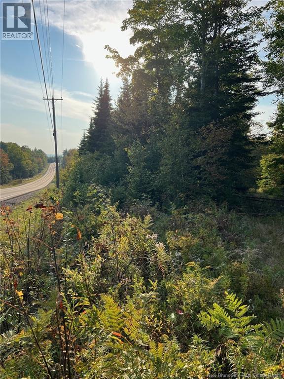 Lot 24-1 Route 3 Photo de la propriété 1