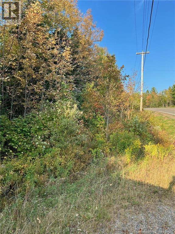 Lot 24-2 Route 3 Property Photo 3