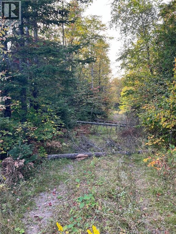 Lot 24-2 Route 3 Property Photo 4