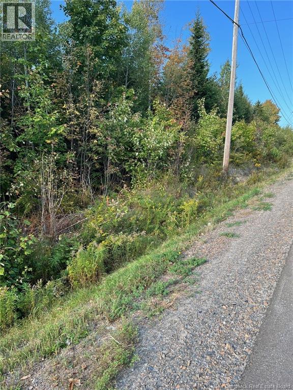 Lot 24-2 Route 3 Property Photo 7