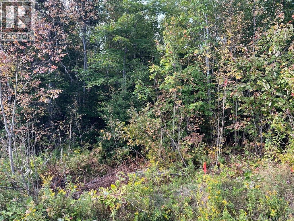 Lot 24-2 Route 3 Property Photo 8
