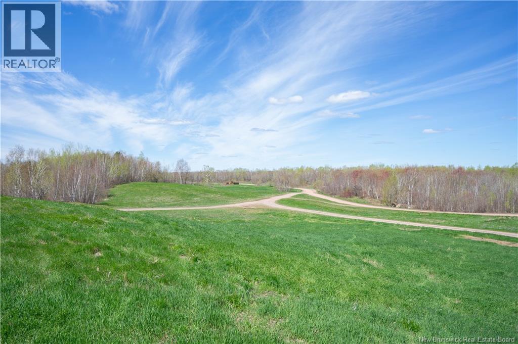 Chapman Road Property Photo 12
