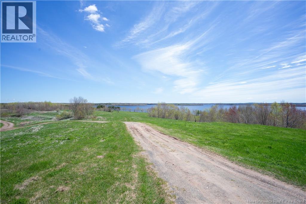 Chapman Road Property Photo 8