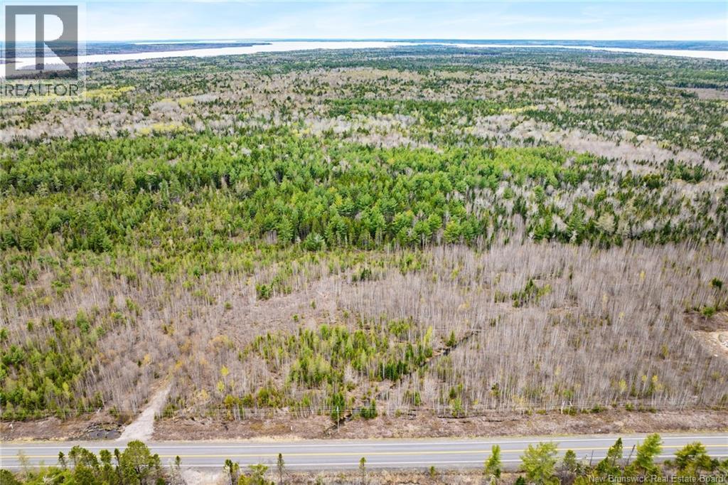 Lot 5 Route 10 Property Photo 1