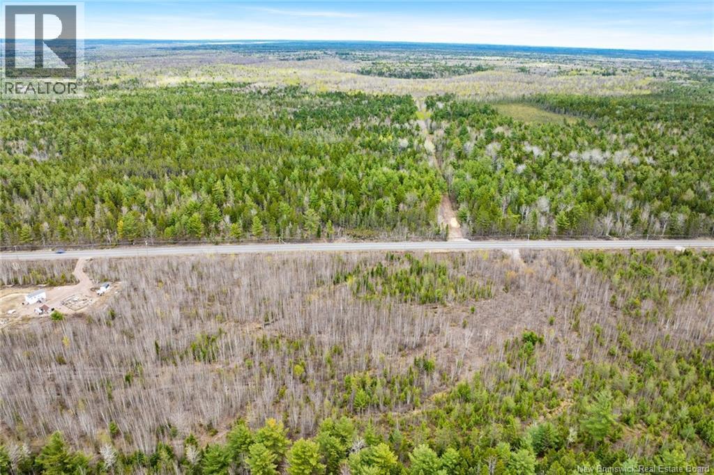 Lot 5 Route 10 Property Photo 3