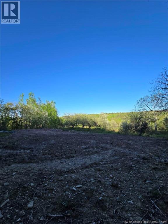 328 Drurys Cove Road Property Photo 7