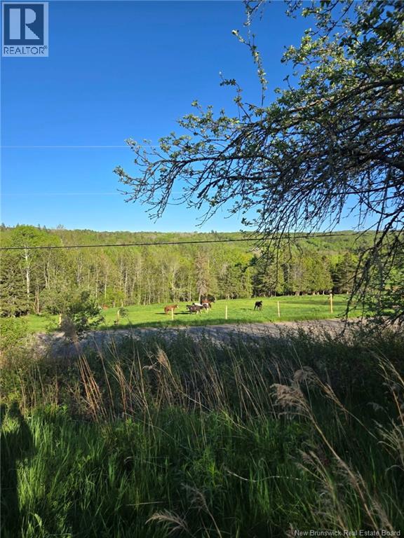328 Drurys Cove Road Property Photo 9
