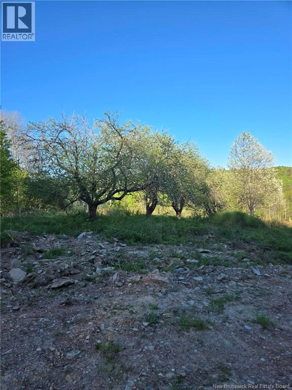 328 Drurys Cove Road Property Photo 12