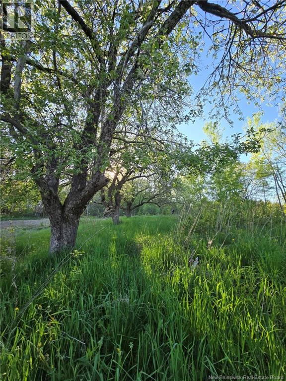 328 Drurys Cove Road Property Photo 13