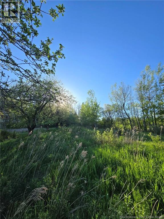 328 Drurys Cove Road Property Photo 17