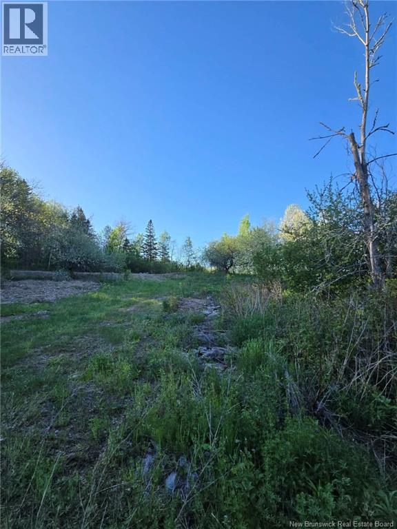 328 Drurys Cove Road Property Photo 18