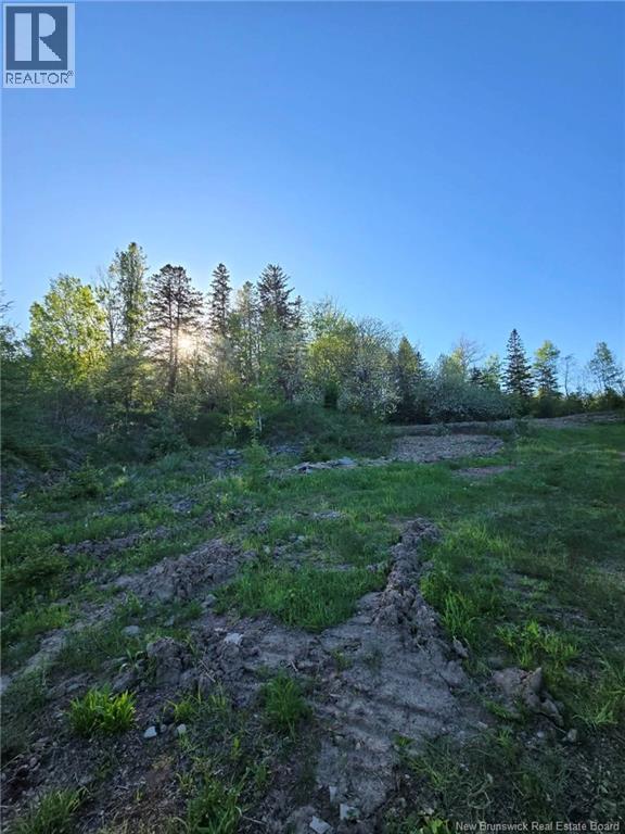 328 Drurys Cove Road Property Photo 19