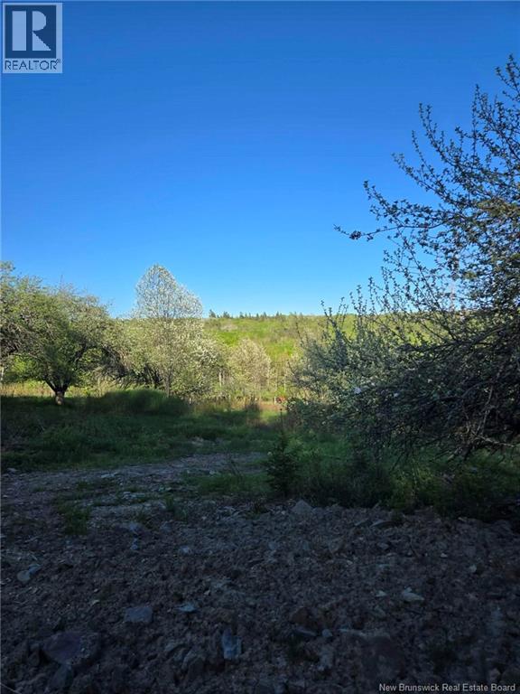 328 Drurys Cove Road Property Photo 26