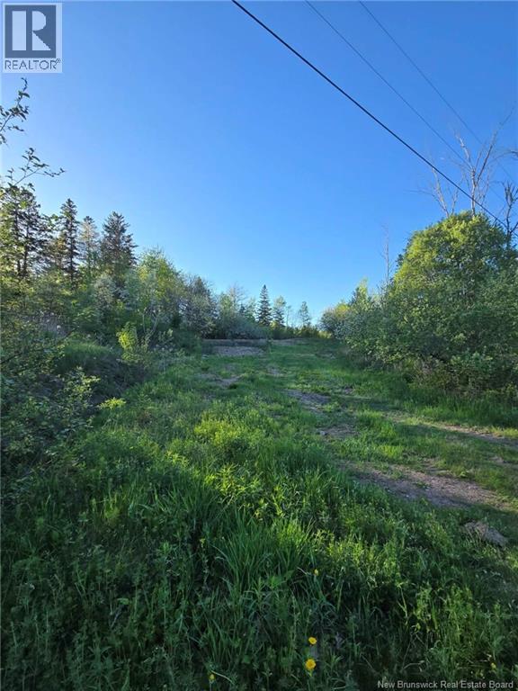 328 Drurys Cove Road Property Photo 27
