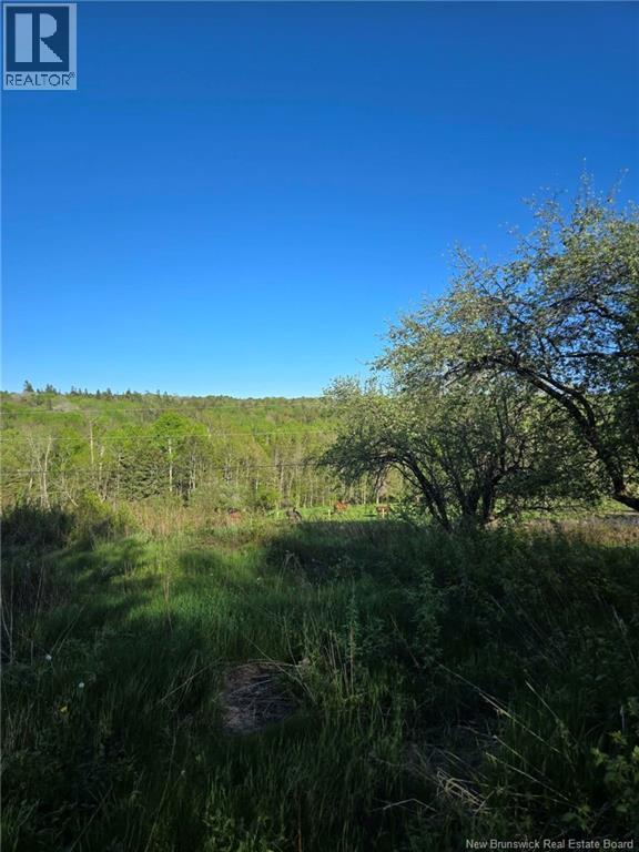 328 Drurys Cove Road Property Photo 28