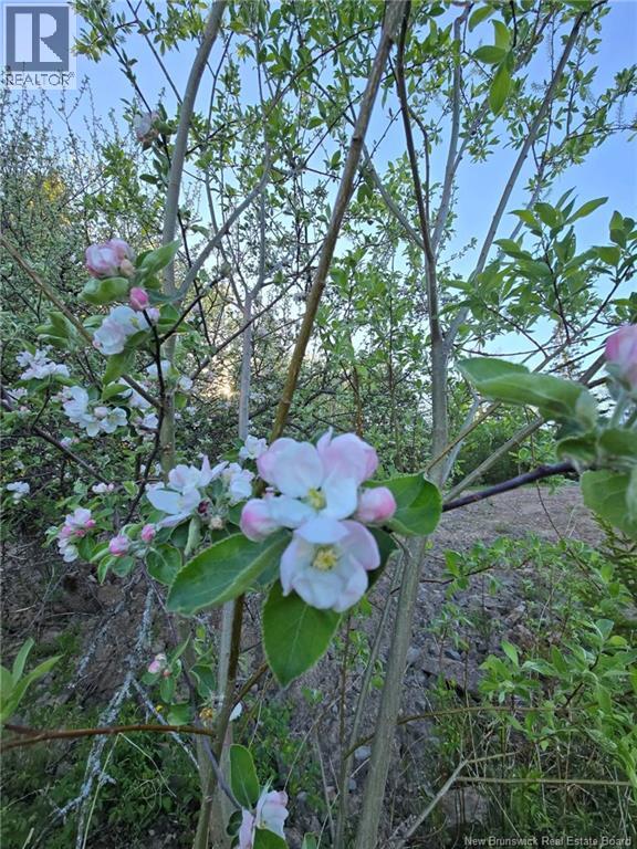 328 Drurys Cove Road Property Photo 30