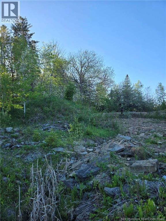 328 Drurys Cove Road Property Photo 32
