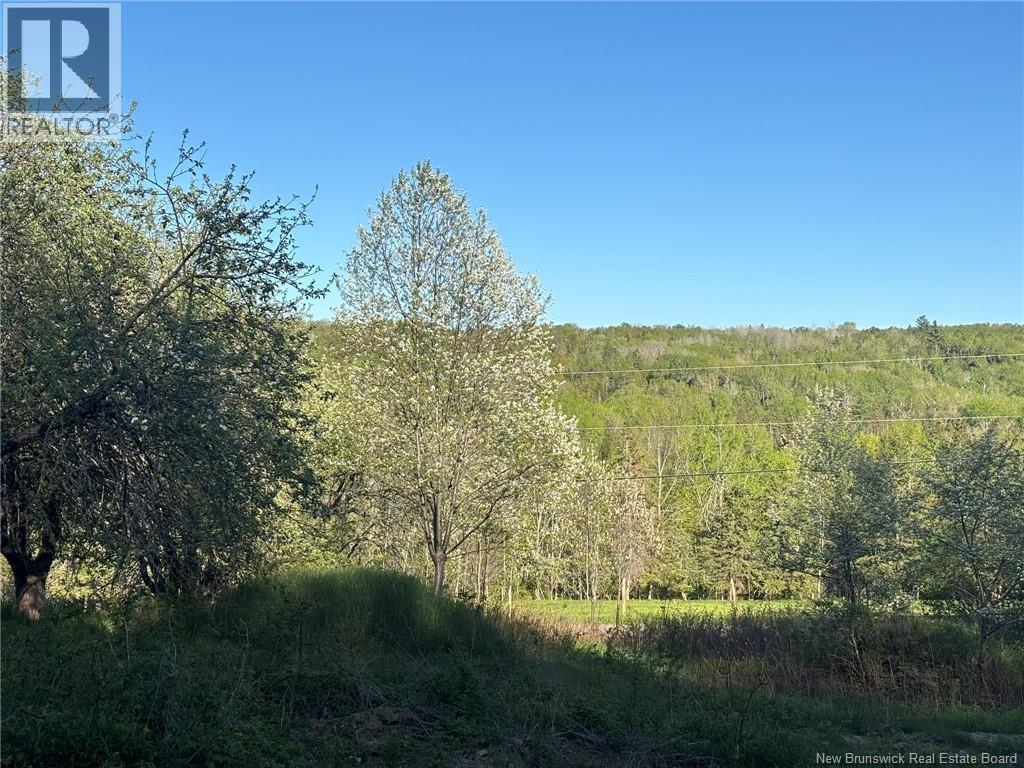 328 Drurys Cove Road Property Photo 40