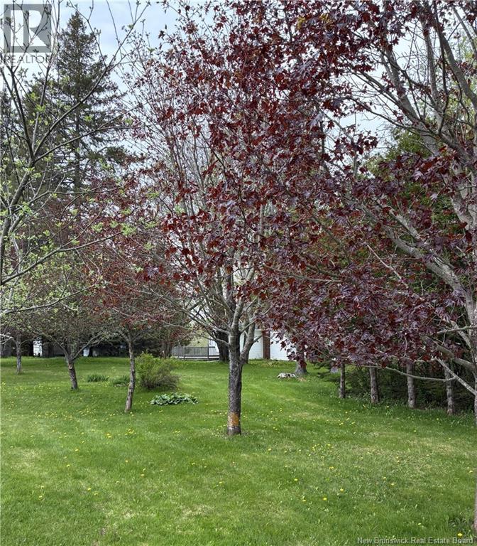 186 Killam Road Property Photo 6
