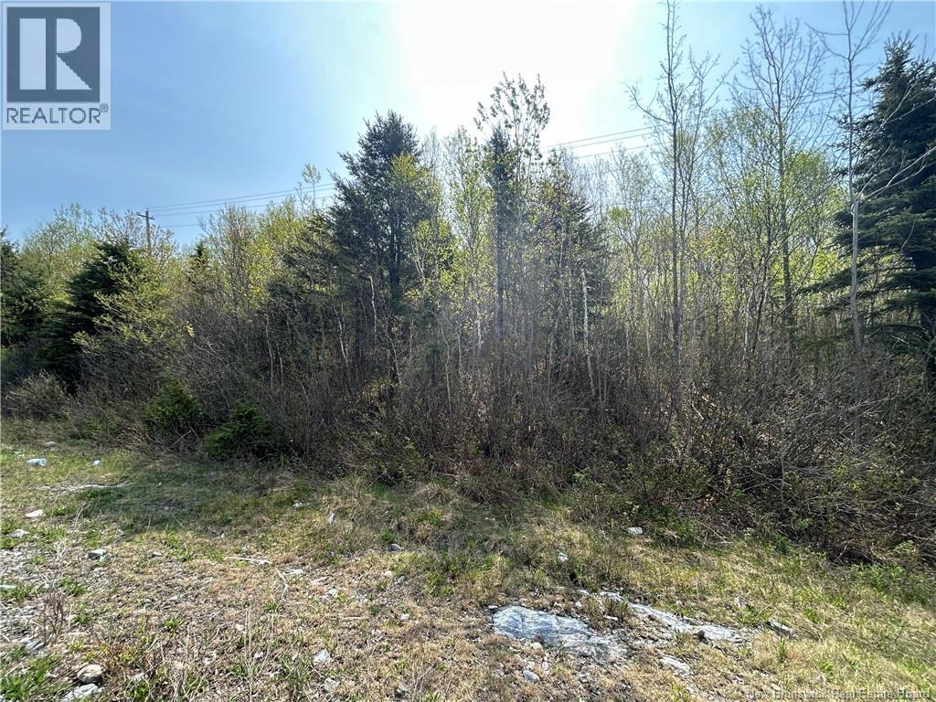 Golden Grove Mountain Property Photo 1
