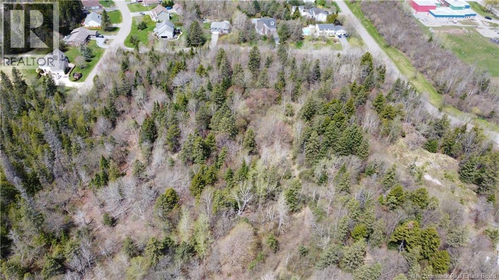 Lot Park Drive Property Photo 18