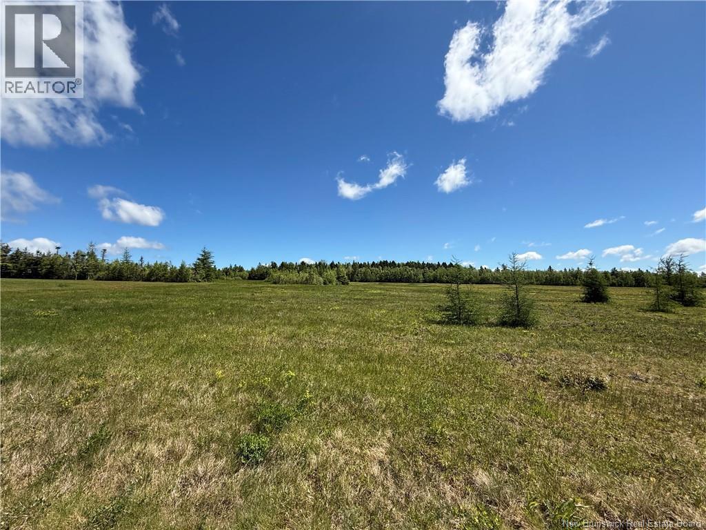 Lot 07-7 Windy Hill Property Photo 4