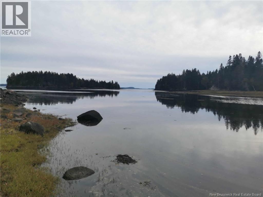 Hog Island Property Photo 3