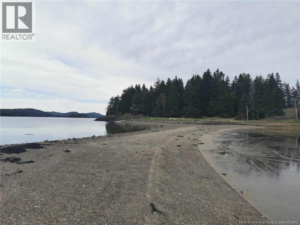 Hog Island Property Photo 4