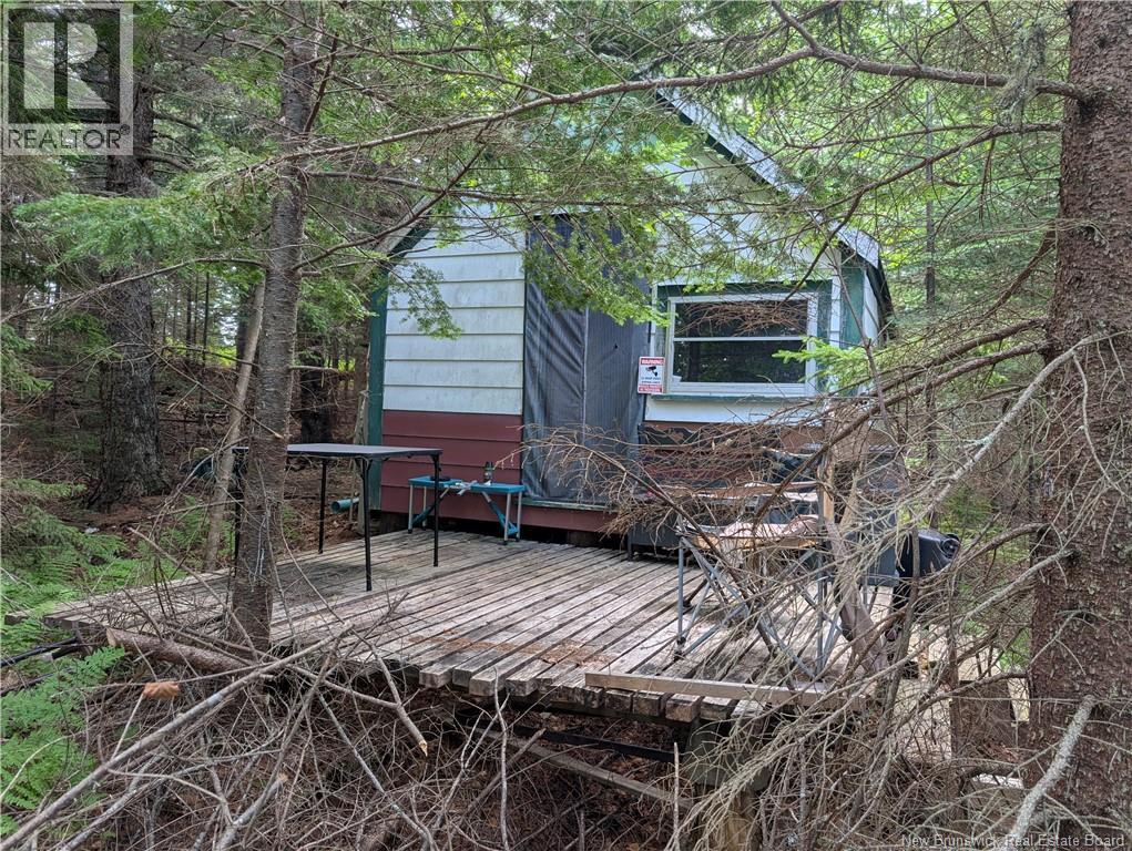 Hog Island Property Photo 6