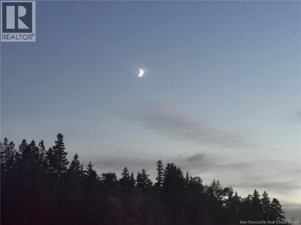 Hog Island Property Photo 8