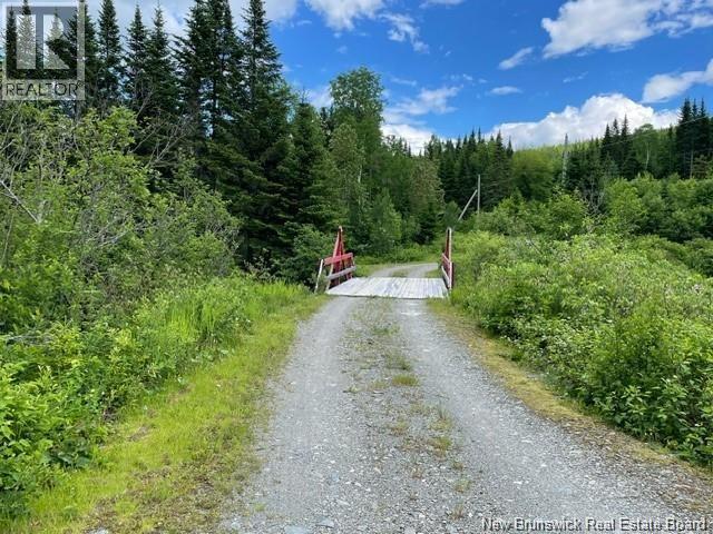 1466 Paradis Road Property Photo 7