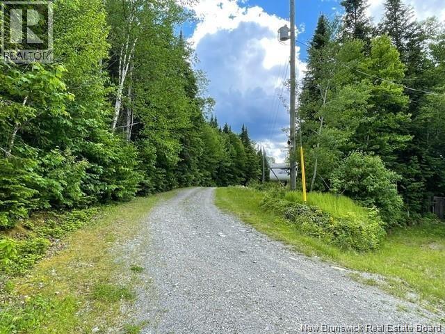 1466 Paradis Road Property Photo 9