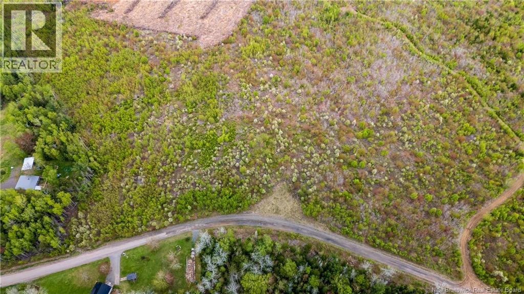 LOT 38 Davidson Road Property Photo 1