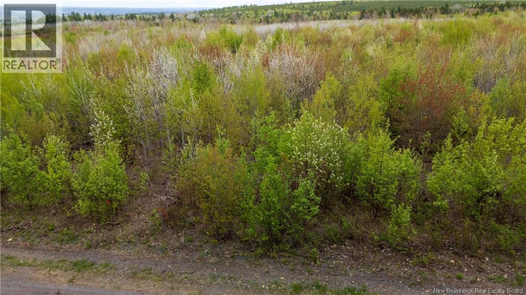 Lot 37 Davidson Road Property Photo 12