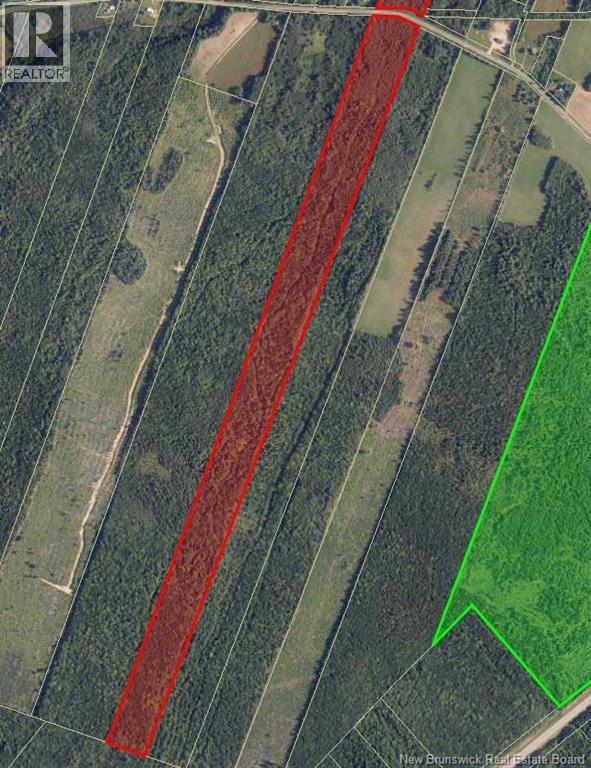 55.2 Acres Williamstown Road
