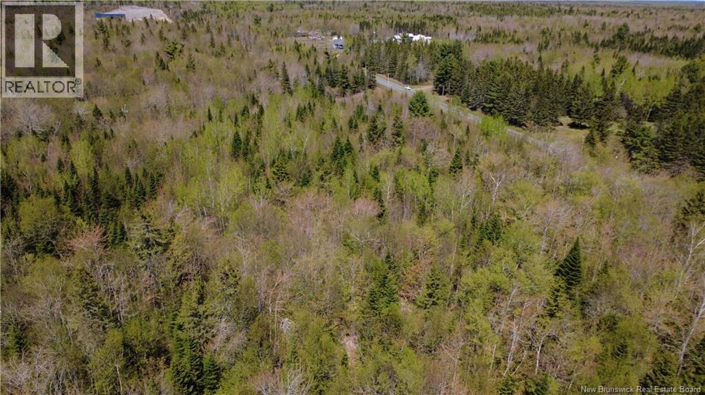 5, 036 Mc Chemin St-raymond Property Photo 4