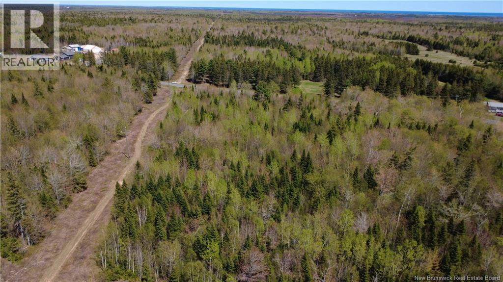 5, 036 Mc Chemin St-raymond Property Photo 5